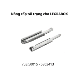 Ray giảm chấn Blum 753.5001S 5803413